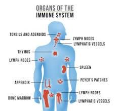 Immune system getting sick after quitting