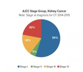 What Is The Survival Rate For Kidney Cancer? | Roswell Park Comprehensive  Cancer Center - Buffalo, Ny