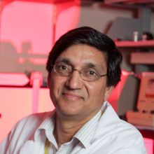 Ravindra Pandey, PhD