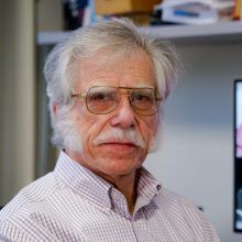 Heinz Baumann, PhD