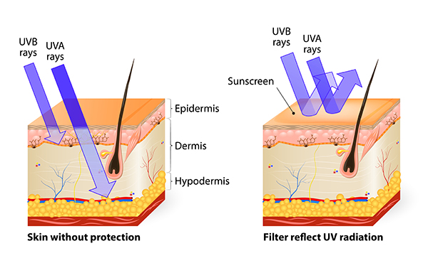 5 Sun Safe Facts - Choosing SPF Sunscreen  Roswell Park Comprehensive 