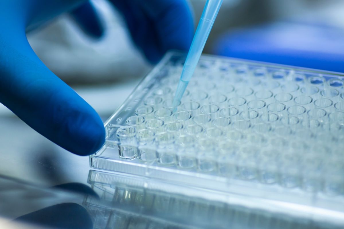 Geneticists works in a lab processing DNA